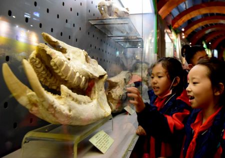(miniature) Des élèves de l'école Chunhua participent à une visite éducative au Musée d'histoire naturelle du Henan