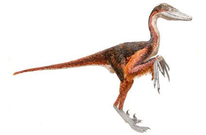 (miniature) Dinosaures chinois