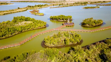 (miniature) Photo aérienne du paysage de la réserve naturelle nationale du Delta du fleuve Jaune