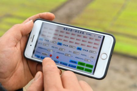 (miniature) Un agriculteur utilise un système intelligent d'intégration eau-engrais sur son téléphone portable dans une serre multifonctionnelle dans l'arrondissement de Yuhu de la ville de Xiangtan