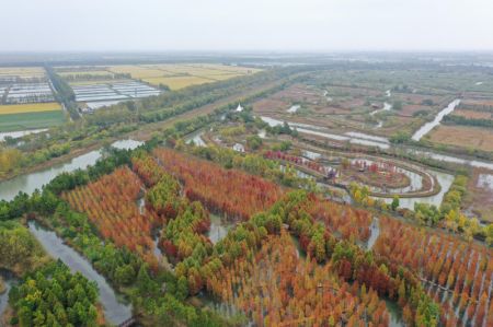 (miniature) Photo aérienne du paysage automnal des zones humides du Lac Hongze