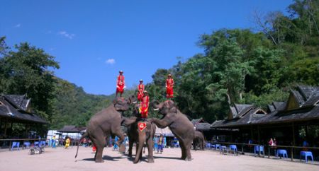 (miniature) spectacle d'éléphants