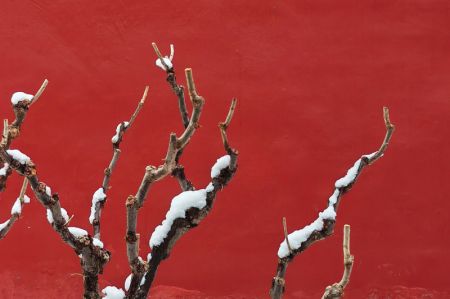 (miniature) Le parc Zhongshan après une chute de neige à Beijing