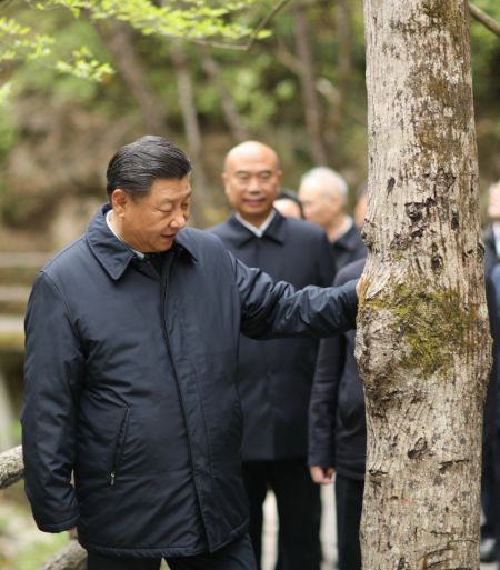 (miniature) Le président chinois