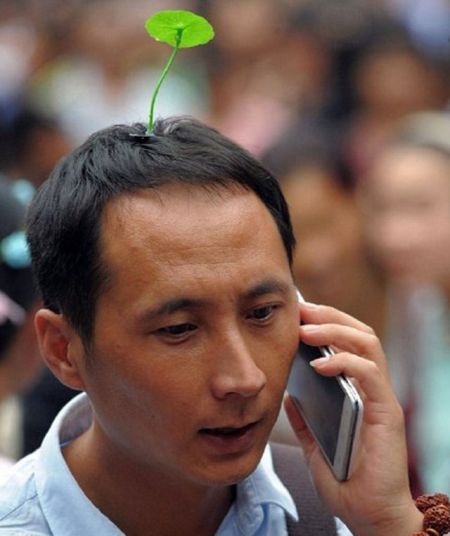 (miniature) Chine : La mode des fausses plantes qui poussent sur la tête