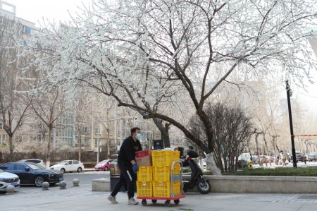 (miniature) Un employé transporte des fournitures dans une communauté de l'arrondissement de Hunnan à Shenyang