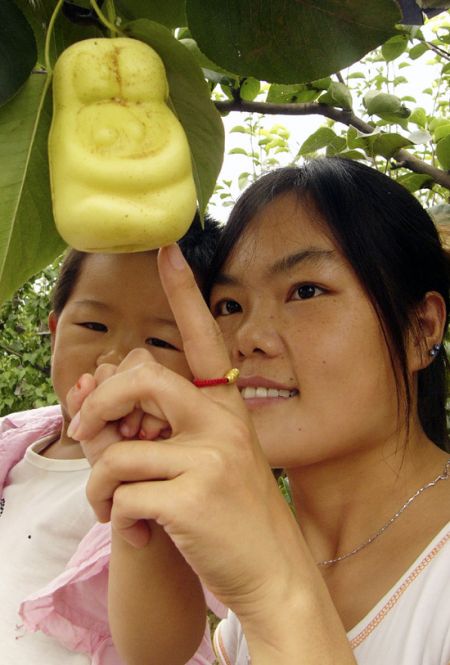(miniature) Des poires en forme d'amoureux pour la fête de Qixi