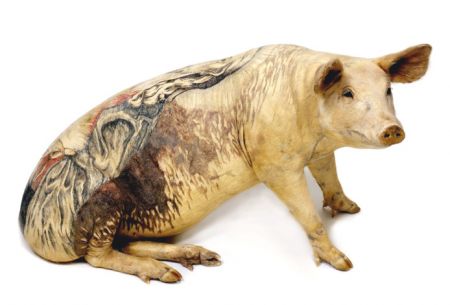 (miniature) cochon tatoué