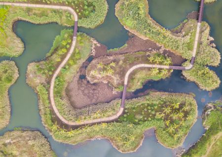 (miniature) Photo aérienne du paysage des zones humides du fleuve Maiya