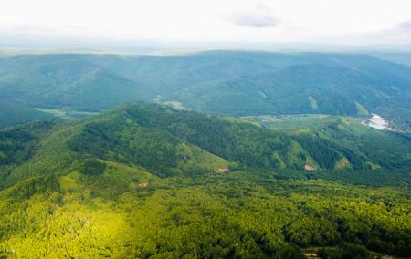 (miniature) Photo aérienne prise le 24 juillet 2022 montrant la forêt d'Arxan