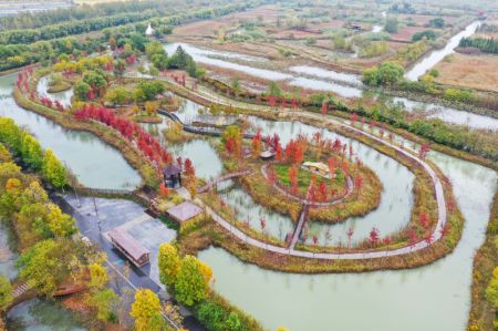 (miniature) Photo aérienne du paysage automnal des zones humides du Lac Hongze