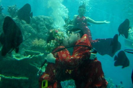 (miniature) Un couple chinois se marie sous l'eau, dans un aquarium géant