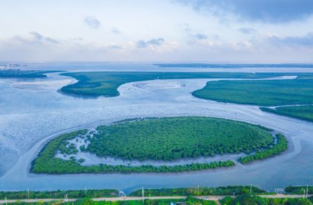 (miniature) Photo aérienne du paysage de la Réserve nationale de Dongzhaigang