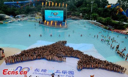 (miniature) dauphin fait de 1000 femmes en bikini