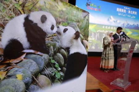 (miniature) Cette photo prise le 1er août 2023 montre un événement sur la promotion du tourisme du pays natal des pandas au Caire
