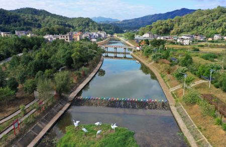 (miniature) Une photo aérienne prise le 21 novembre 2020 montre des berges de rivière aménagées dans le village de Zhikeng