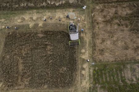 (miniature) Photo aérienne des champs d'orge des hautes terres dans le village de Kere de l'arrondissement de Dagze à Lhassa