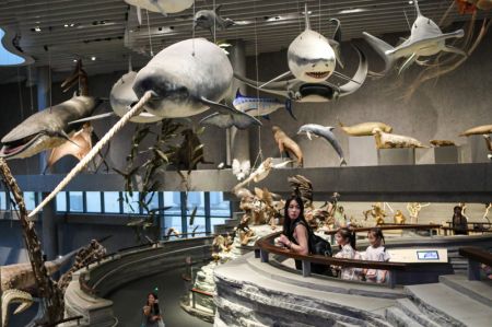 (miniature) Des touristes visitent le musée d'histoire naturelle de Shanghai (ville à l'est de la Chine)