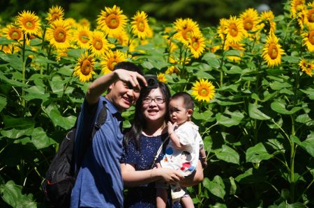 (miniature) Des gens posent pour une photo avec des tournesols dans le Parc forestier olympique de Beijing
