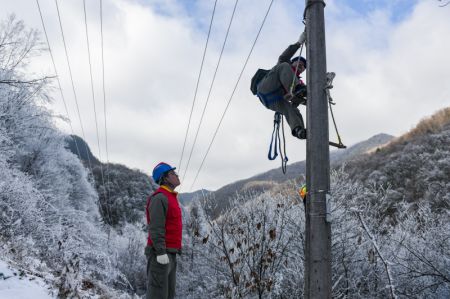 (miniature) Des membres du personnel de la compagnie locale d'électricité inspectent des lignes de transmission électrique dans le district forestier de Shennongjia