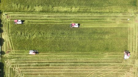 (miniature) Photo aérienne prise le 24 juillet 2023 montrant des moissonneuses dans une rizière du district de Xinjian à Nanchang