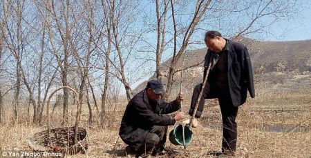 (miniature) Un aveugle et son ami amputé des mains plantent 10.000 arbres en 10 ans