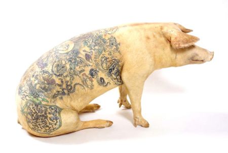 (miniature) cochon avec un tatouage