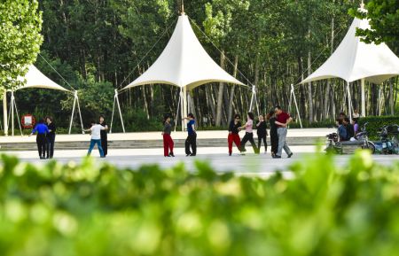 (miniature) Des habitants locaux font de l'exercice dans un parc forestier à Wen'an