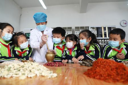 (miniature) Des élèves suivent un cours de médecine traditionnelle chinoise à Tangshan