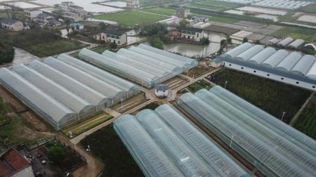 (miniature) Photo aérienne d'une serre multifonctionnelle dans l'arrondissement de Yuhu de la ville de Xiangtan
