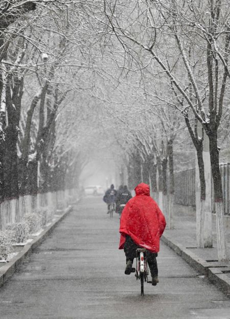 (miniature) Des gens à vélo sous la neige à Hohhot