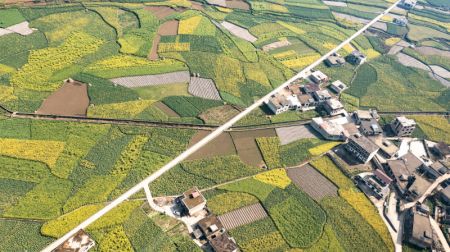 (miniature) Photo aérienne prise le 3 mars 2022 du paysage de fleurs de colza dans le bourg de Mugang à Liupanshui