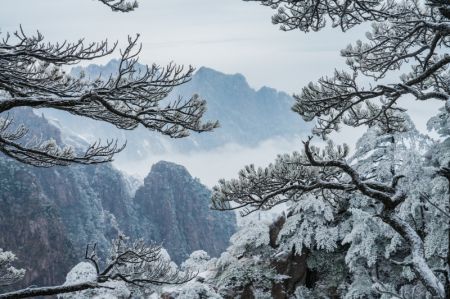 (miniature) Photo du paysage de givre sur le mont Huangshan