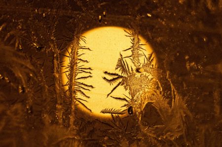 (miniature) Photographie d'une fenêtre avec des motifs de givre à Heihe
