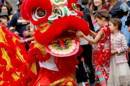 (miniature) Des enfants essaient de toucher les accessoires de la danse du lion lors d'un défilé du Nouvel An chinois à Wellington