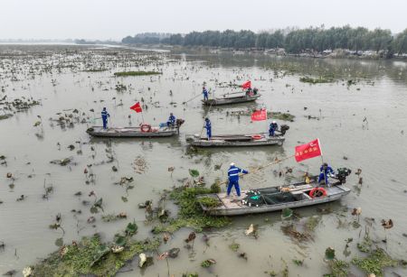 (miniature) Photo aérienne des ouvriers qui nettoient la surface de l'eau sur le lac Baima du bourg de Chahe à Huai'an