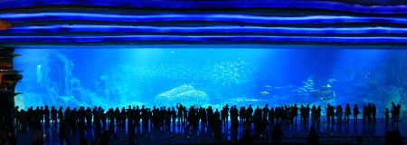 (miniature) Photos de Chine : le plus grand aquarium du monde