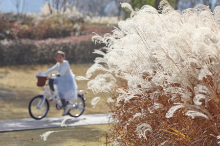(miniature) Une enfant fait du vélo dans un parc de Jiaxing