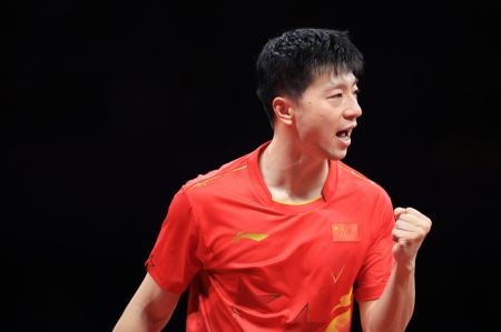 (miniature) Le Chinois Ma Long participe à la finale du match de tennis de table masculin par équipe entre la Chine et la République de Corée aux 19es Jeux asiatiques