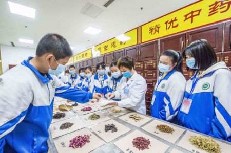 (miniature) Des élèves suivent un cours de médecine traditionnelle chinoise à Qingzhou