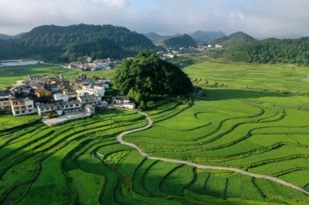 (miniature) Une photo aérienne prise le 28 juillet 2020 montre des paysages dans le bourg de Gaopo