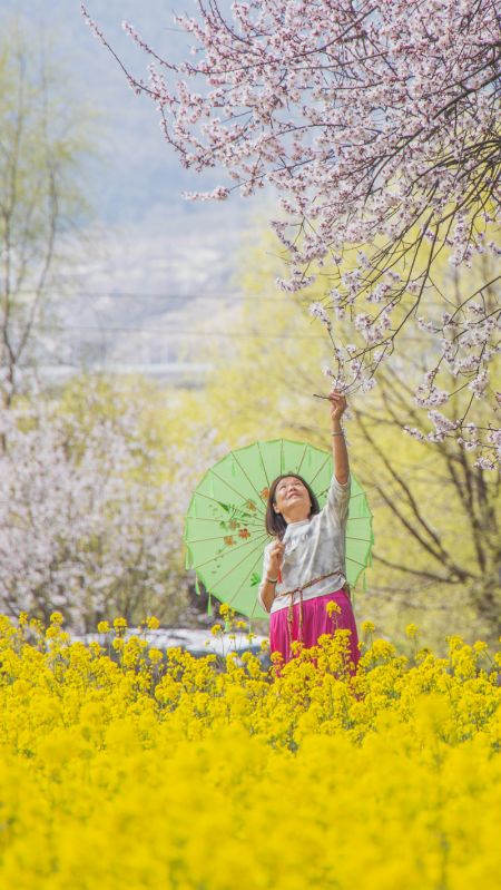 (miniature) Une touriste pose pour des photos au milieu de pêchers en fleurs dans un village de Nyingchi de la région autonome du Xizang (sud-ouest de la Chine)