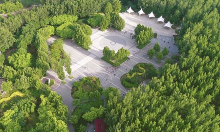 (miniature) Un parc forestier à Wen'an