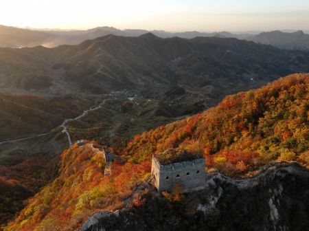 (miniature) Photo aérienne du paysage d'automne de la Grande Muraille de Qingshanguan