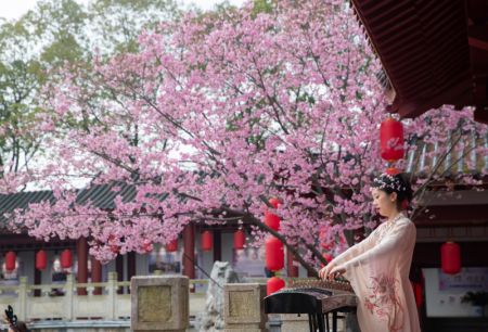 (miniature) Une actrice jouant de la musique au parc des fleurs de cerisier du lac de l'Est à Wuhan