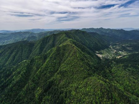 (miniature) Vue aérienne du mont Fanjing