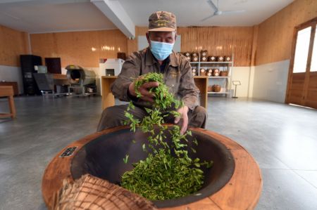 (miniature) Un travailleur traite des feuilles de thé pendant la saison de récolte du thé dans une plantation de thé à Huangshan