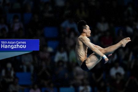 (miniature) Le Chinois Yang Hao lors de la finale du plongeon de haut-vol (10 m) hommes aux 19es Jeux asiatiques à Hangzhou