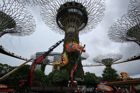 (miniature) Des travailleurs installent une installation lumineuse en forme de dragon pour célébrer le prochain Nouvel An lunaire chinois dans les Gardens by the Bay de Singapour