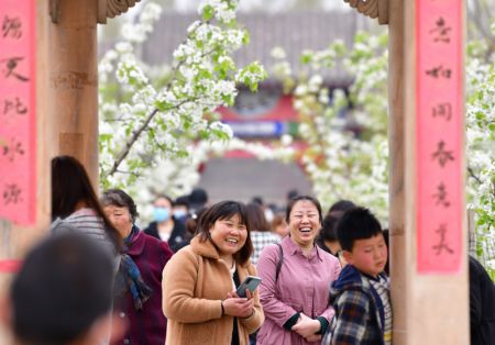 (miniature) Des touristes se promènent parmi les poiriers en fleurs pendant le festival de la floraison des poiriers dans la ville de Qian'an